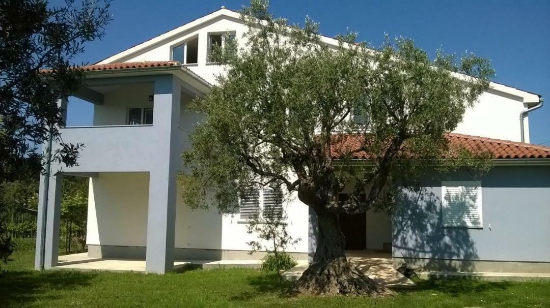 Apartments Villa Ulivo - Apartment Sol Fažana エクステリア 写真