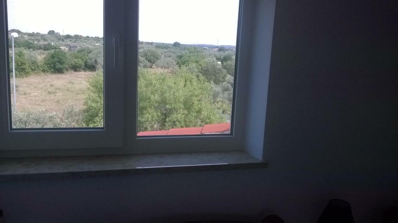 Apartments Villa Ulivo - Apartment Sol Fažana エクステリア 写真
